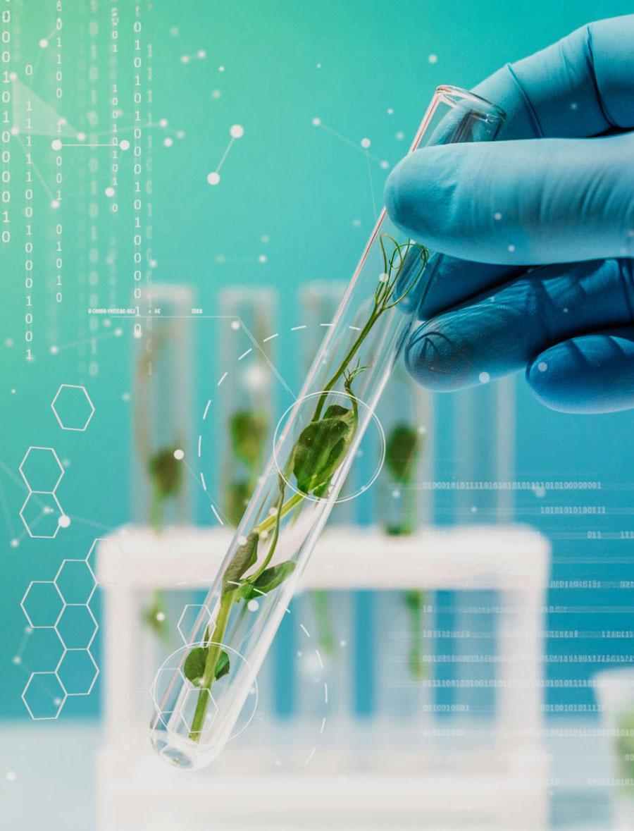 Precision Medical Devices Solutions